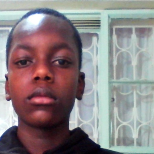 david m. profile photo