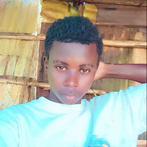 Jayz H. profile photo