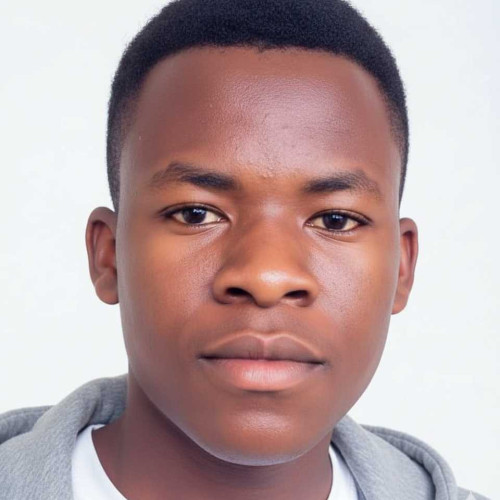 Aloyce K. profile photo