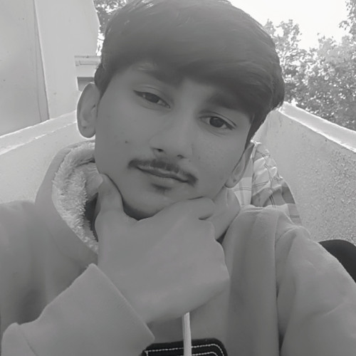 Parth P.