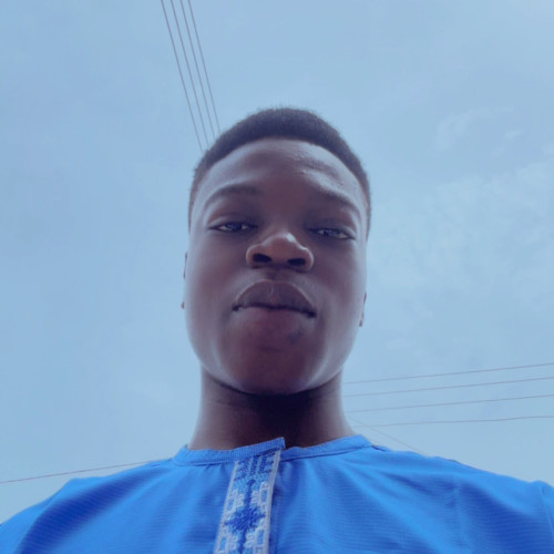 Babalola V. profile photo