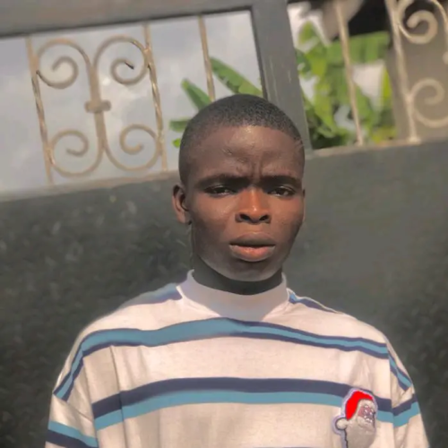 Ogunmowo B. profile photo