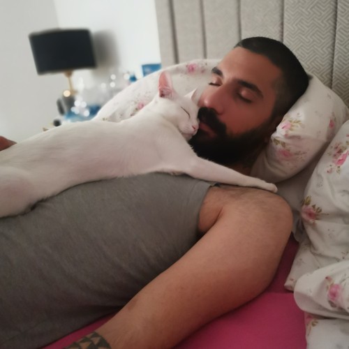 Reza  h. profile photo