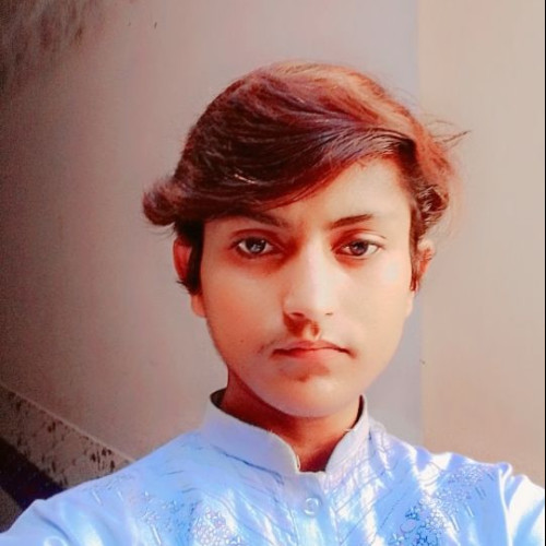 Syed Salman Abbas N. profile photo