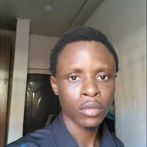 Oreoluwa  A. profile photo
