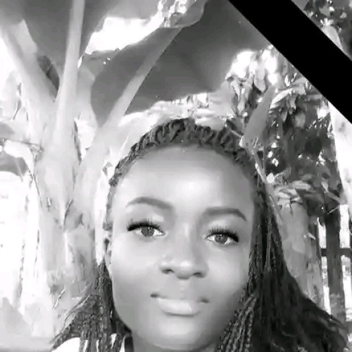 Hanna  N. profile photo