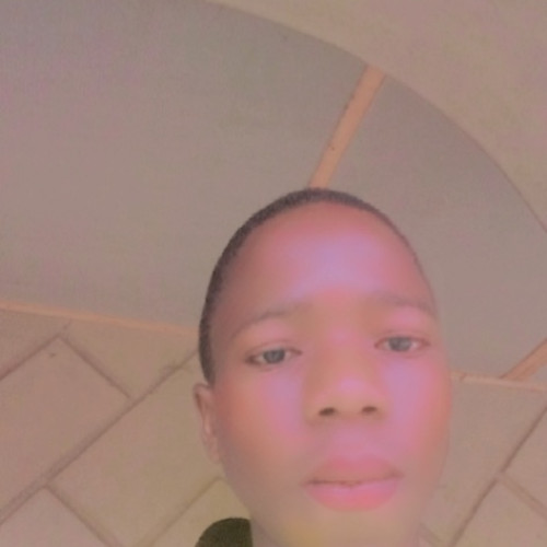 Taiwo O. profile photo
