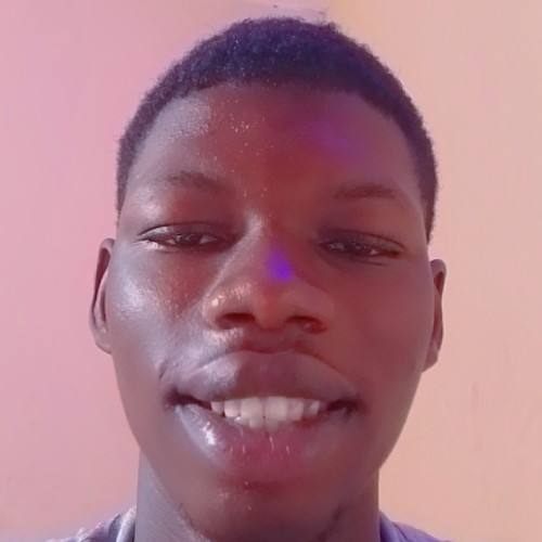 Opeyemi A.