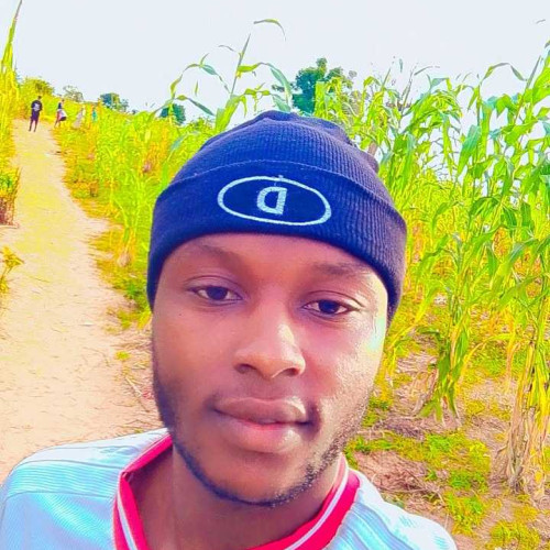 okpanachi shuaib N. profile photo