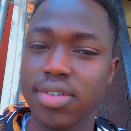 Fatoye O.