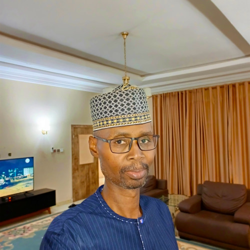 oladapo  A. profile photo
