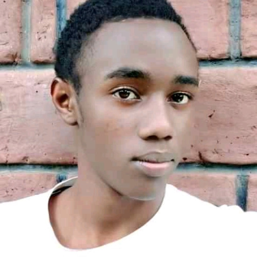 Steve M. profile photo