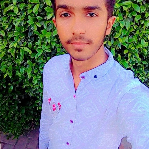 Muhammad F.