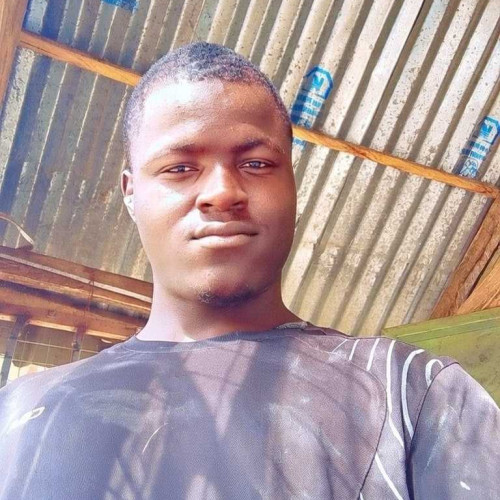 De young Y. profile photo