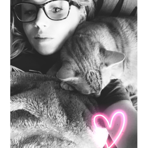 Tabby B.