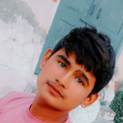 Vikram  S. profile photo