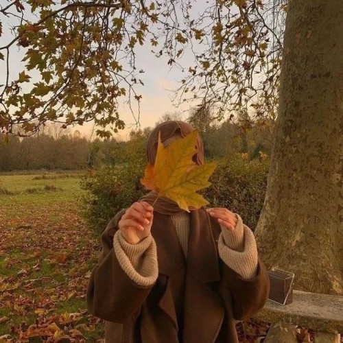 Hajar S. profile photo