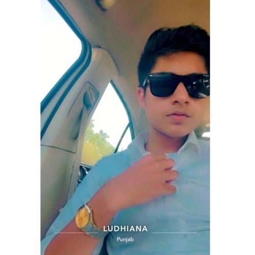 Shagunpreet  S.