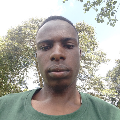 Martin O. profile photo