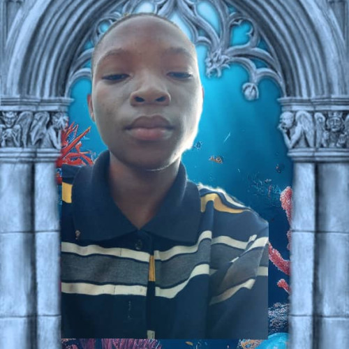 Emmanuel Ayomide A. profile photo