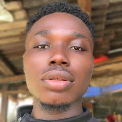 Dominion chibuzor E. profile photo