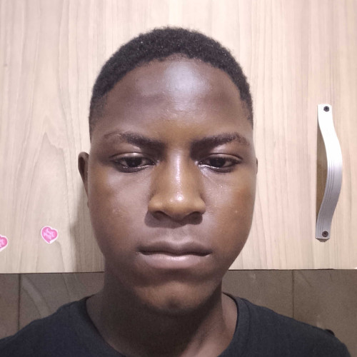 Livingstone t. profile photo