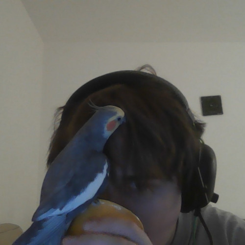 Nikita S. profile photo