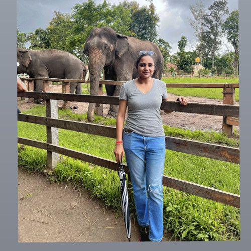 NANCY S. profile photo
