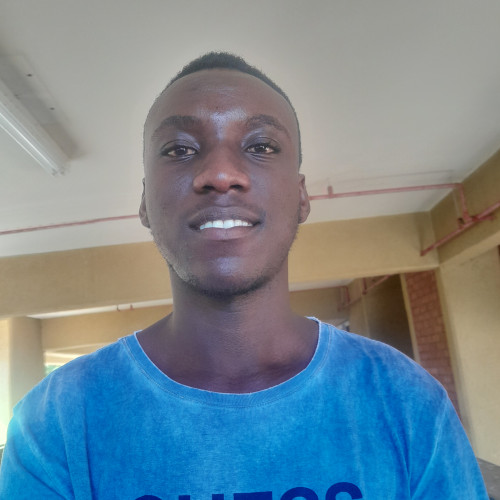 Anton N. profile photo