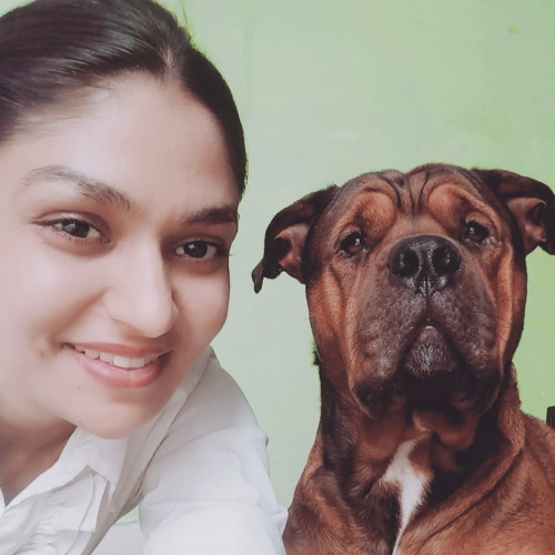 Garima  C.