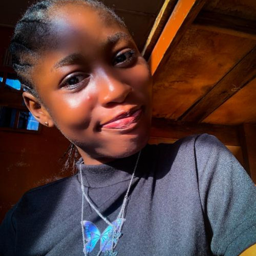 Adedire A. profile photo