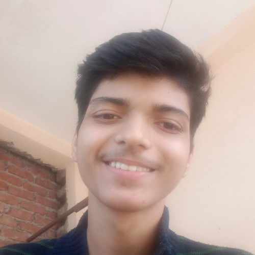 Anubhav K.