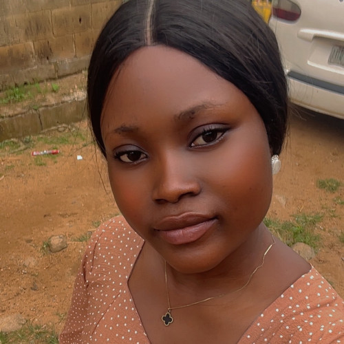 Olasunkanmi O. profile photo