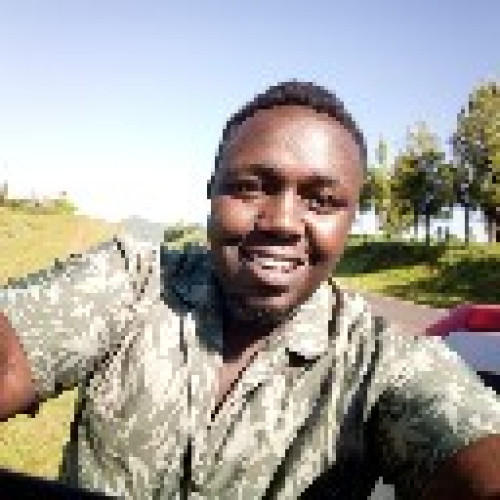 David  M. profile photo