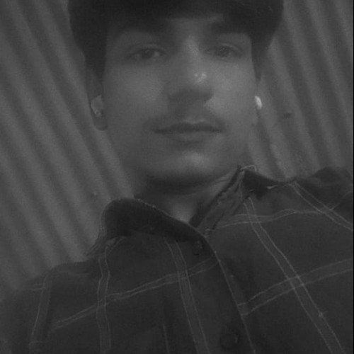 Shaikh  S. profile photo
