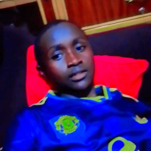 Elvis N. profile photo