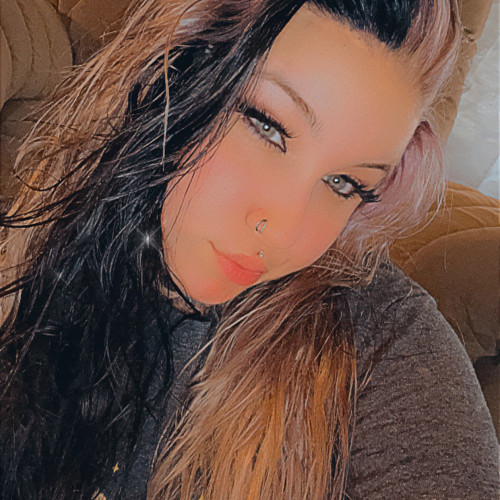 Tina D. profile photo