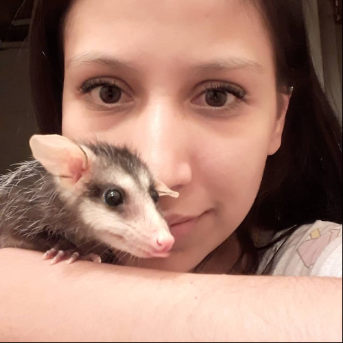 Yanelli A. profile photo