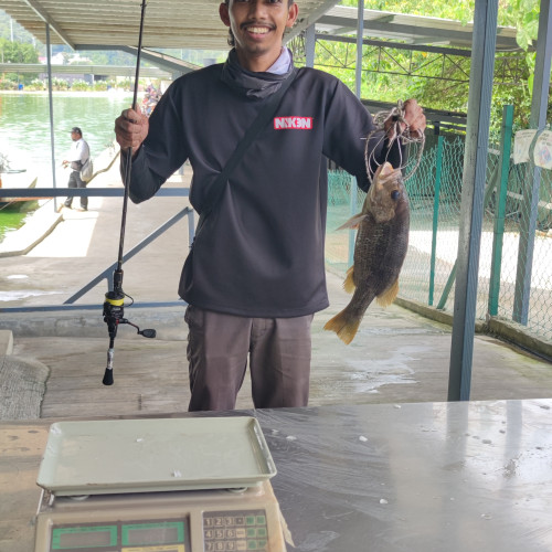 Fauzan O. profile photo