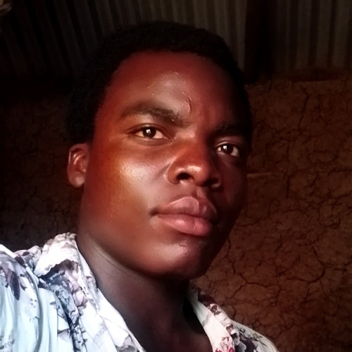 Mourice O. profile photo
