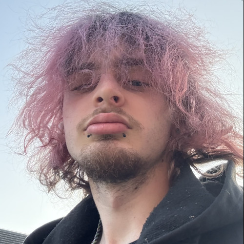 Chris  D. profile photo
