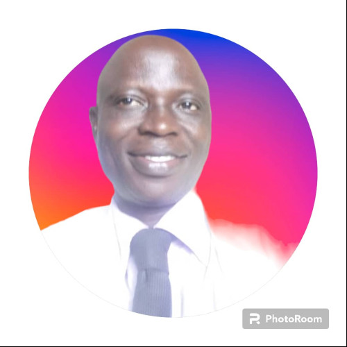 OLATUNBOSUN E. profile photo