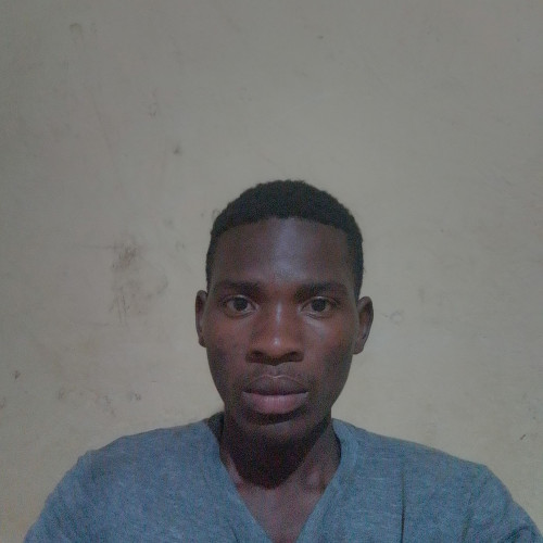 David N. profile photo
