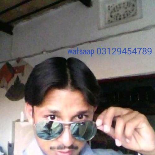 Roman M. profile photo
