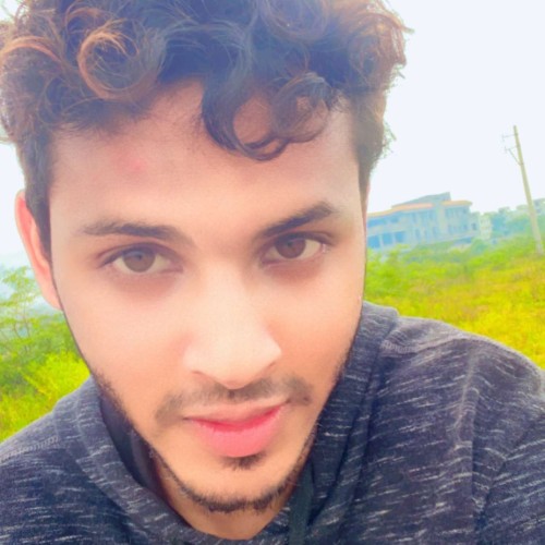 Mohammed Hussain A.