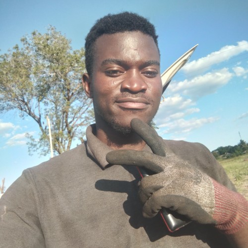 Tapiwa Z.