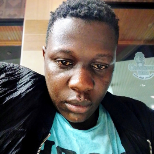 Vincent P. profile photo