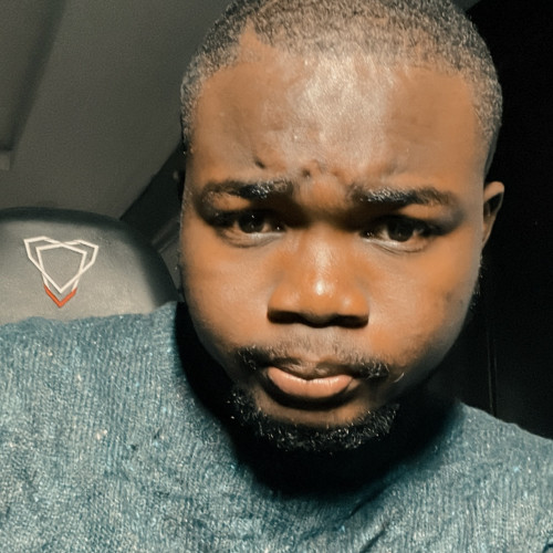 Oluwafemi O. profile photo