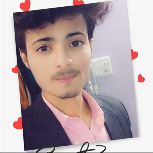 Md Tauqeer  T. profile photo