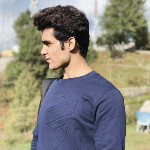 Arsalan M.